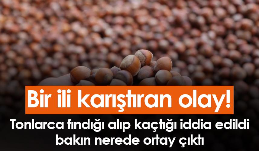 Sakarya'yı karıştıran olay! Tonlarca fındığı alıp kaçtığı ileri sürülmüştü