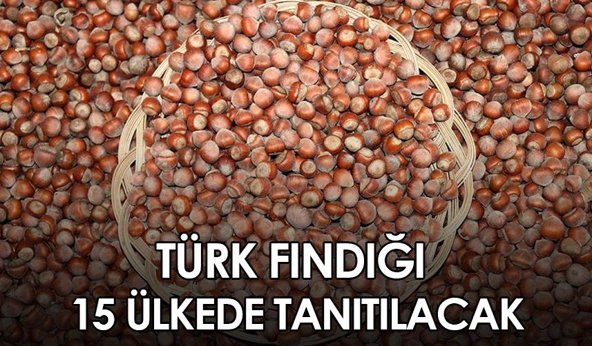 Türk fındığı 15 ülkede tanıtılacak. 21.01.2023