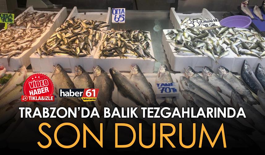 Trabzon'da balık tezgahlarında son durum. 27.03.2023