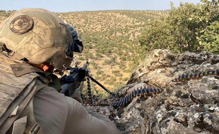 Mardin'de 'Eren Abluka-31 operasyonu başladı