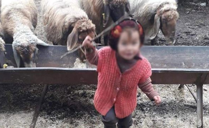 Müslüme'nin bilirkişi raporu ortaya çıktı: İstismara uğradıktan sonra öldürülmüş