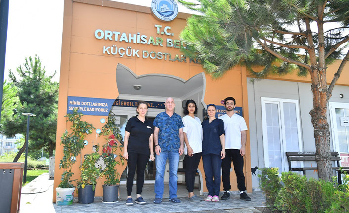 Sokak hayvanları "Küçük Dostlar Kliniği'nde" emin ellerde