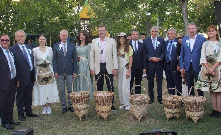 Dünya fındık haftası kutlanıyor