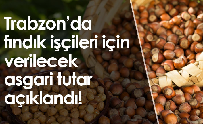 Trabzon’da fındık işçileri için verilecek asgari tutar açıklandı!