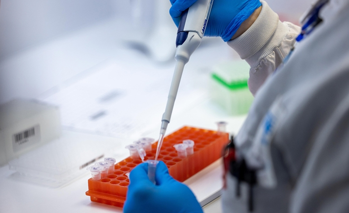 DSÖ maymun çiçeği varyantlarına yeni isim verdi