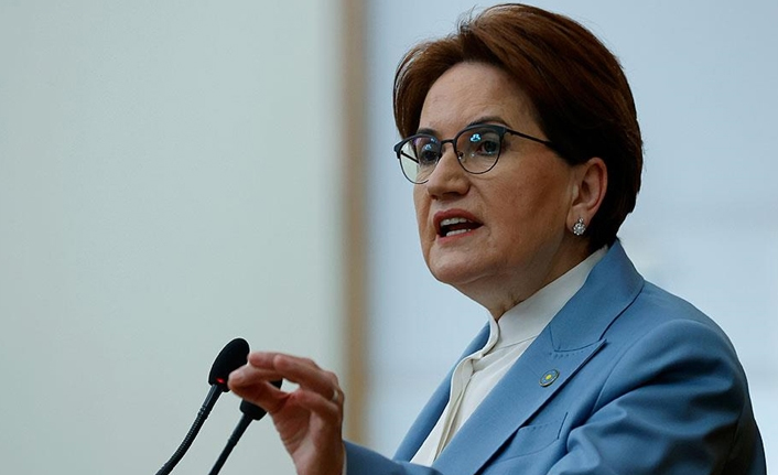 Meral Akşener'i köpek ısırdı
