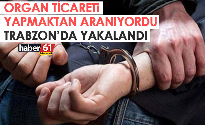 Organ ticaretinden aranıyordu! Trabzon'da yakalandı