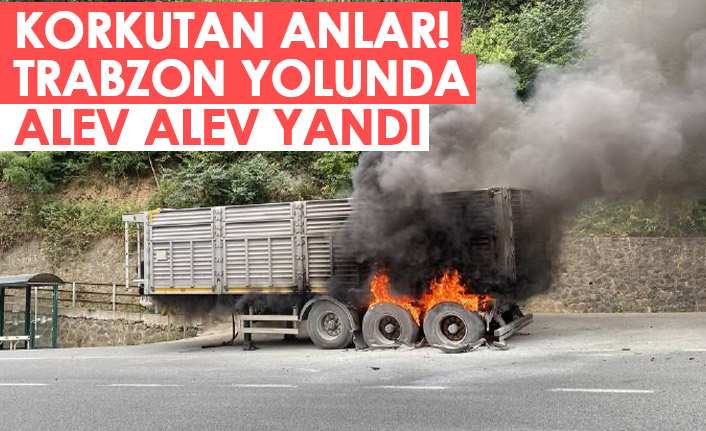 Zigana Dağı'nda korkutan anlar! Trabzon'a gelirken alev aldı
