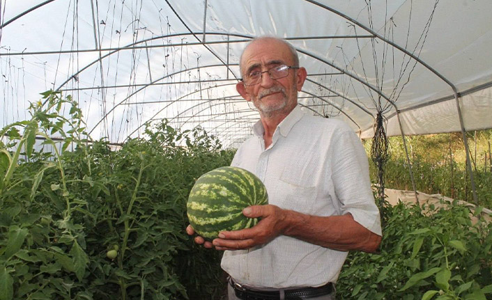 50 yıllık çiftçi ata tohumlarına gözü gibi bakıyor