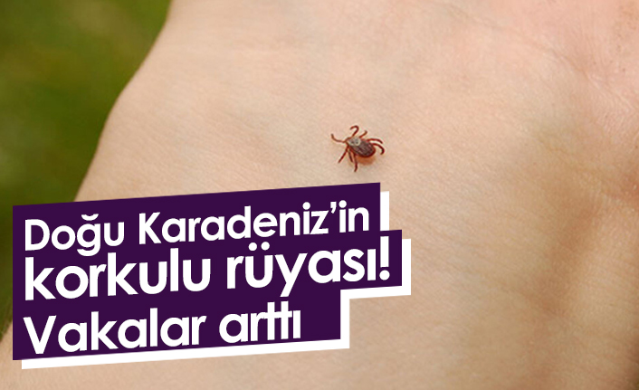 Doğu Karadeniz'in korkulu rüyası! Vakalar arttı