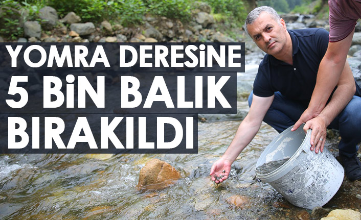 Yomra deresine 5 bin adet alabalık bırakıldı