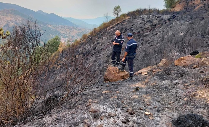 Cezayir’deki orman yangınlarında 26 kişi hayatını kaybetti