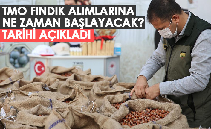 TMO fındık alımlarına ne zaman başlayacak?