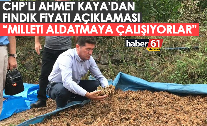 Trabzon'un CHP'li Milletvekili Kaya: Fındığa iyi fiyat verdik diye milleti aldatmaya çalışıyorlar