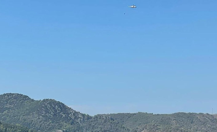 Muğla'da çıkan orman yangını söndürüldü