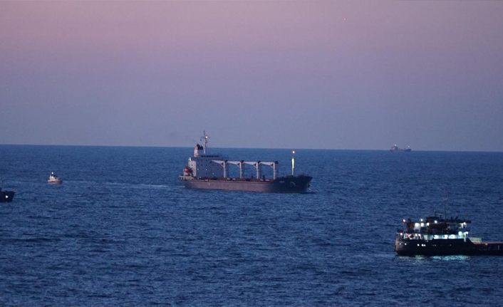 Ukrayna'dan bir gemi daha yola çıktı