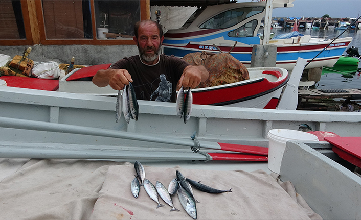 Trabzon'da balıkçılar yeni sezonda umutlu