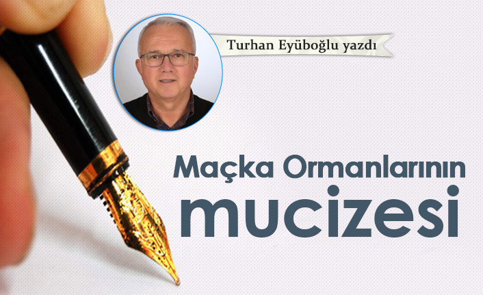 Turhan Eyüboğlu Yazdı "Maçka Ormanlarının Mucizesi"