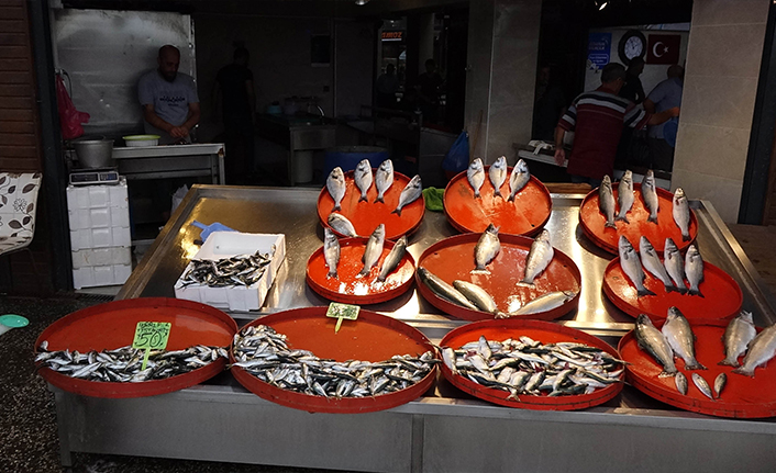 Karadeniz'de istavrit bolluğu; fiyatı düştü