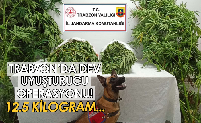 Trabzon’da dev uyuşturucu operasyonu!