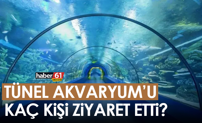 Tünel Akvaryum'u kaç kişi ziyaret etti?