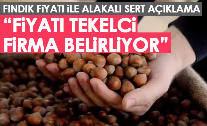 Türkiye Ziraat Odaları Birliği Genel Başkanı Bayraktar: Fındığın serbest piyasadaki fiyatını tekelci firma belirliyor