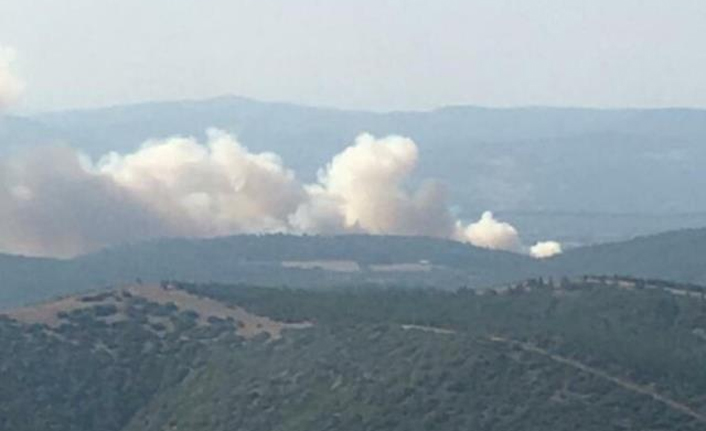 Yürek burkan orman yangını! 2 mahalle boşaltıldı