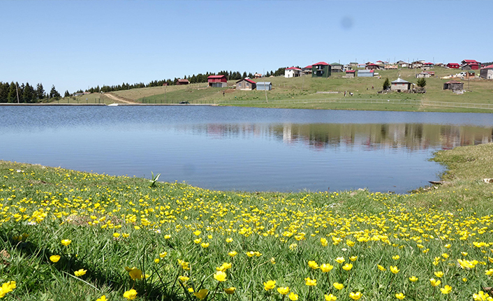 Trabzon'da yağışların azalması su kaynaklarını olumsuz etkiledi