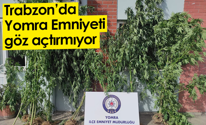 Yomra Emniyeti göz açtırmıyor