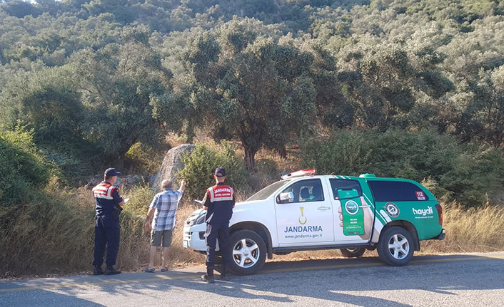 Köpeği ağaca asarak öldüren şahıs yakalandı