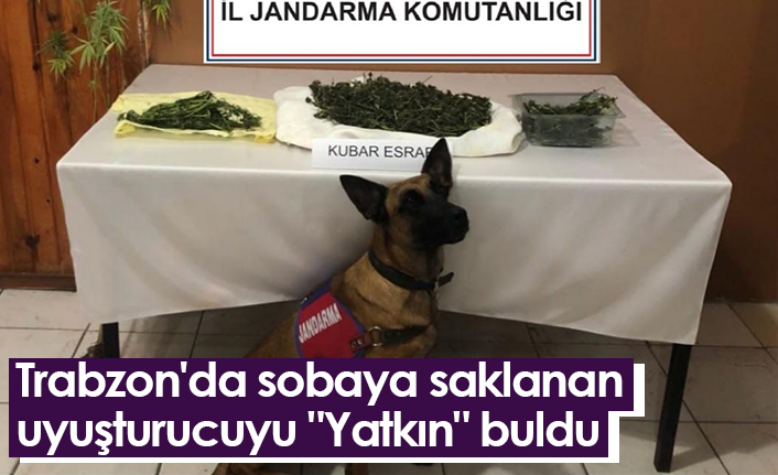 Trabzon'da sobaya saklanan uyuşturucuyu "Yatkın" buldu