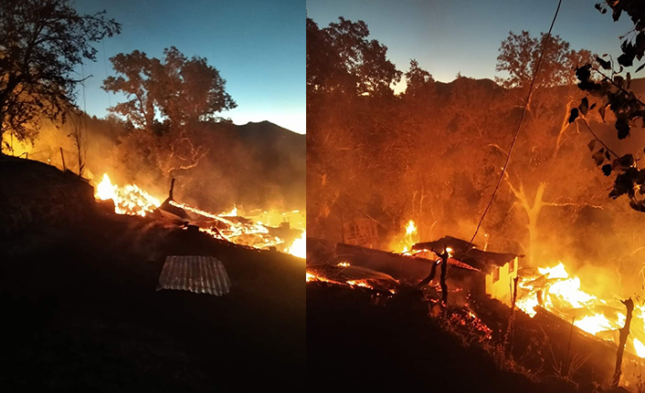 Artvin'de yangın! 3 ev kül oldu 14 büyükbaş hayvan telef oldu