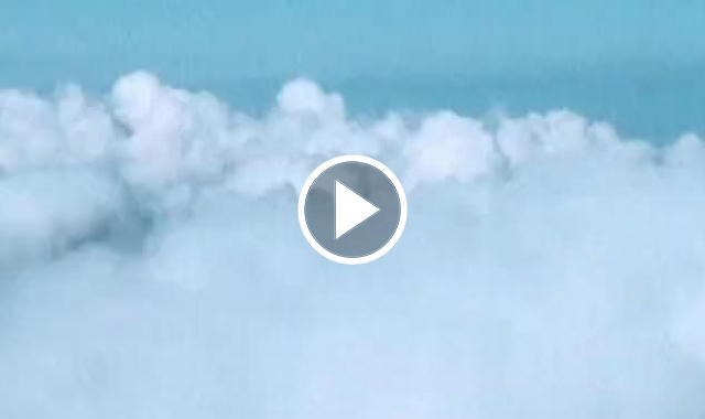 Ajax'tan Trabzonspor'a teşekkür videosu. Video Haber