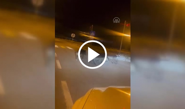 Bayburt'ta domuz sürüsü şehre indi. Video Galeri