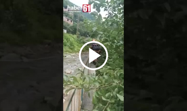 Trabzon itfaiyesi yaralı köpeği kurtardı. Video Haber