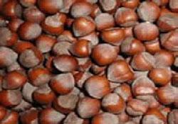 Fındık Sepetleri Pazara İndi