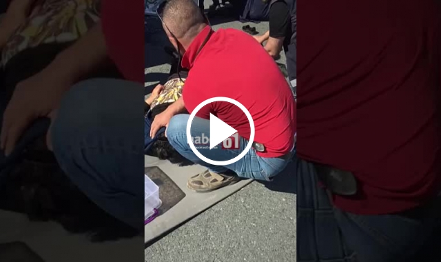 Trabzon'da trafik kazasında 5 kişi yaralandı. Video Haber