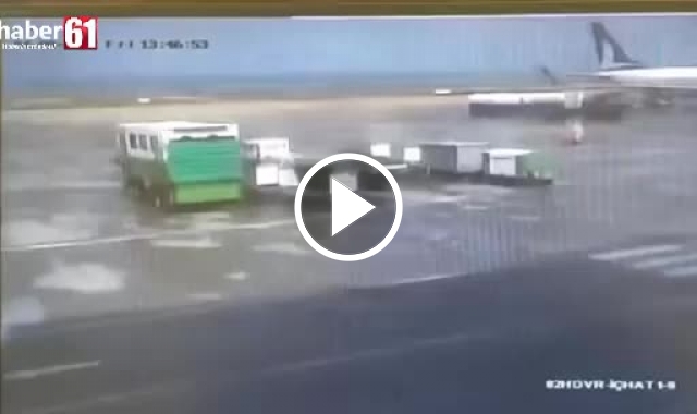 Trabzon'da uçaktan kaçan kedi bulundu. Video Haber