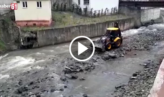 Trabzon'da kedi kurtarma operasyonu. Video Haber