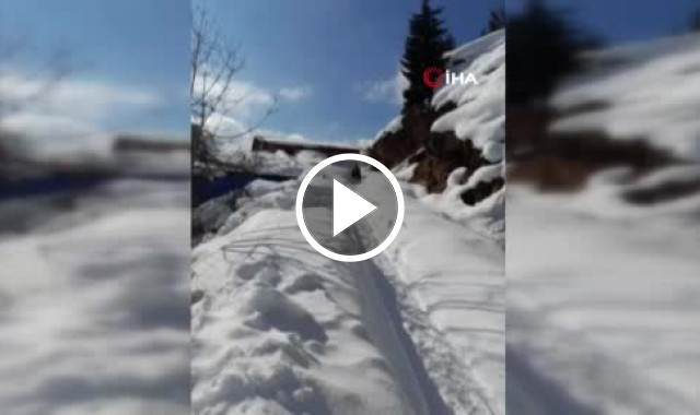 95 yaşındaki Saadet ninenin tahta kızak keyfi. Video Haber.