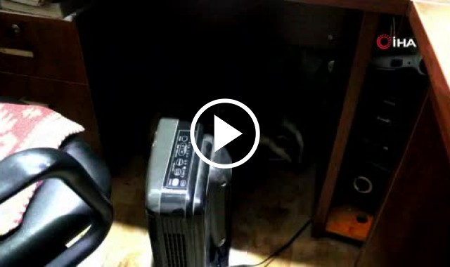 Ordu’da bir iş yerinde davetsiz misafir! Görenler şaştı kaldı. Video Haber