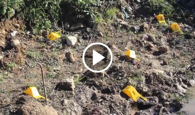 Ordu'da arazi anlaşmazlığı kavgasında kan aktı! 3 yaralı. Video Haber.