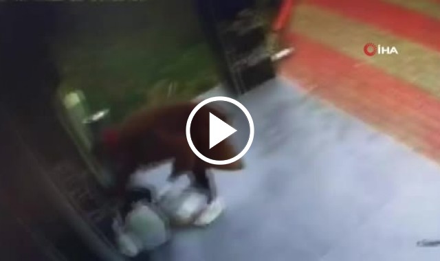 Ordu'da eski koca dehşeti! Boşandığı eşini cayır cayır yaktı. - Video Haber