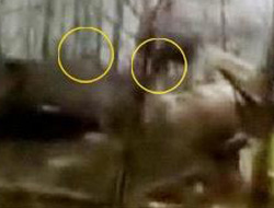 Bu iddialar savaş çıkarır