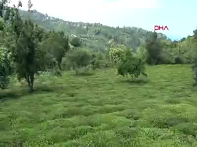 Yola dökülen betonu kazma ile bozan kadına soruşturma