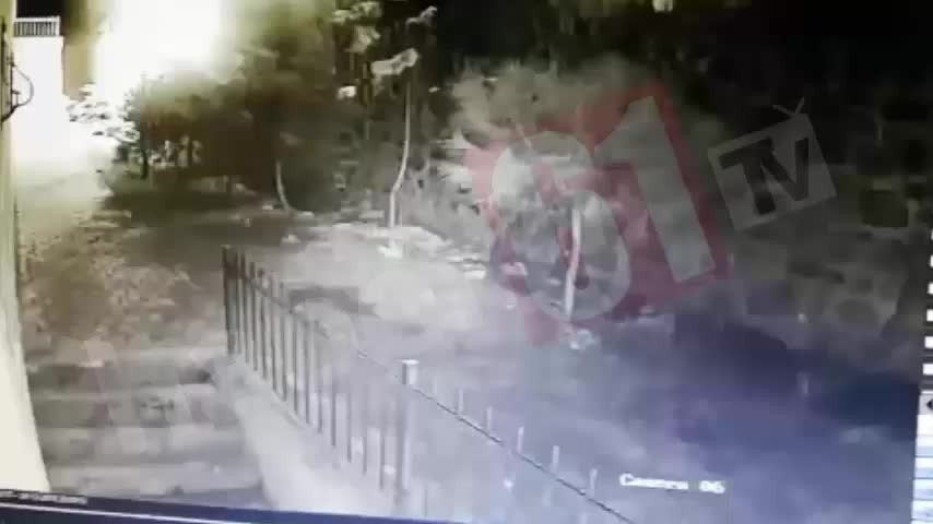 Yılbaşı geldi Trabzon’da çam hırsızları yine ortaya çıktı.  25.12.2019