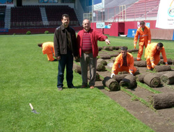 Avni Aker'in çimleri nereye gitti