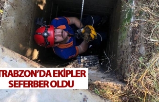 Trabzon’da Kuyuda Mahsur Kalan Yavru Kedi AFAD Tarafından Kurtarıldı