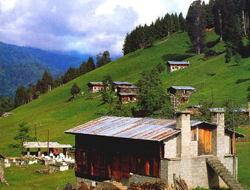 Her haneden bir kişiye ceza