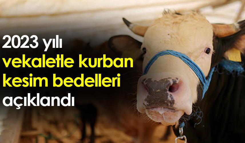 2023 yılı vekaletle kurban kesim bedelleri açıklandı